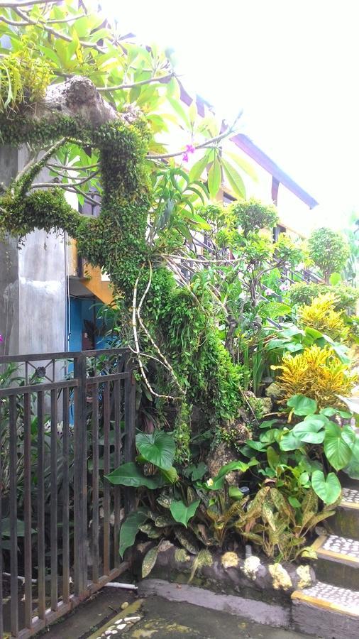 Betesda Guest House Canggu  Luaran gambar